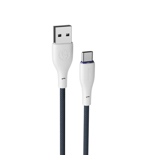 R-2025 Type-C Cable
